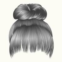 bun  hairs with fringe gray colors . women fashion beauty style . vector