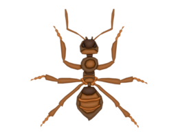 3d Ant on a transparent background png