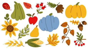 Vector flat illustrations of autumn objects fruits and vegetables, harvest, leaves, plants, pumpkin, corn, berries, acorns. Cute hand-drawn drawings to create a poster or postcard on the autumn theme