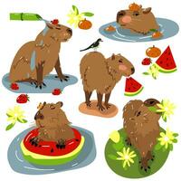 Cute set of capybaras. Funny capybara characters are swimming in the water, taking a shower, walking, relaxing. Charming cute animal Children's flat vector illustrations isolated on a white background