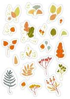 Stickers set A4 A5 with autumn elements - leaves and berries. Isolated fall coloured elements with silhouettes vector