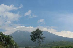 the view of a single tree covered mountain in front of it. The sky looks bright blue dotted with clouds photo