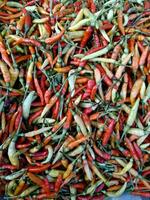 chilies of various colors photo