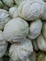 stack of cabbage vegetables with vertical layout photo