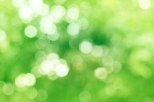 Natural Pastel Green and Yellow Abstract Bokeh Background photo