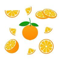 Orange with leaves whole and slices of oranges. Vector stock illustration of oranges.