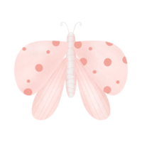 hermosa ilustración de mariposa png