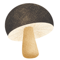 simple mushroom illustration png