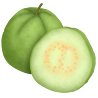 guava, grönsaker och frukt 5 färger ,grön png