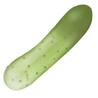 cucumber, vegetables and fruits 5 colors ,green png