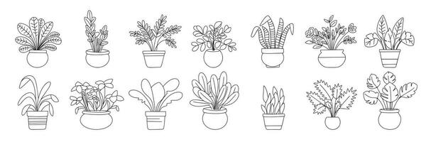 Big collection of houseplants in doodle style. Outline houseplant isolated on white background. Collection of houseplant set icons. Vector illustration.