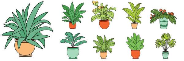 Big collection houseplant colored outline. Hand drawn houseplant in doodle style isolated on white background.  Vector illustration.