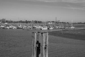 la isla de langeoog foto