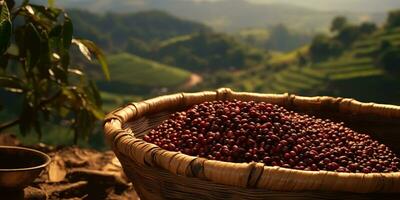 AI Generated. AI Generative. Coffee beans plantation nature outdoor landscape. Graphic Art photo