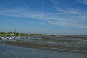 the island of Langeoog photo