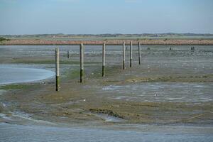 la isla de langeoog foto