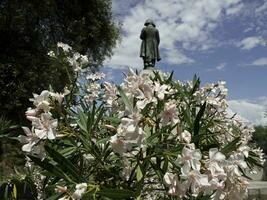 the island  of  corsica photo