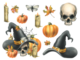 Human skull in a black witch hat with orange pumpkins, cobwebs, candles and autumn maple leaves. Hand drawn watercolor illustration for Halloween. Set of elements png