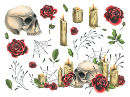 Human skull with red roses, candles and cobwebs. Hand drawn watercolor illustration for Halloween, day of the dead, Dia de los muertos. Set of isolated elements png