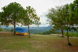 Tent camping grounds, Tat Mok National Park Mueang Phetchabun District, Phetchabun Province, Thailand photo