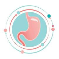 estómago intestino vector ilustración gráfico icono símbolo