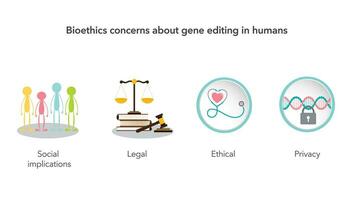 Bioethics of gene editing in humans vector illustration infographic