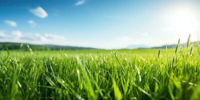 ai generado. ai generativo. verde Fresco césped campo prado con azul cielo horizonte antecedentes. burlarse de arriba inspirador salvaje al aire libre naturaleza. gráfico Arte foto