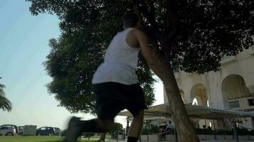 A guy pushing off from the tree and doing somersault video