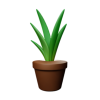 Aloe vera 3d Rendern Symbol Illustration png