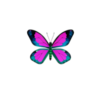 acuarela mariposa 3d representación icono ilustración png