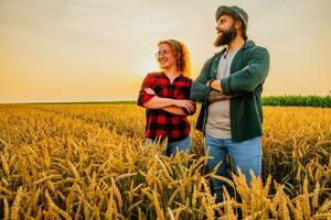 familia agrícola ocupación. hombre y mujer son cultivando trigo. ellos son satisfecho con bueno Progreso de plantas. foto