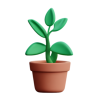 mis en pot les plantes 3d le rendu icône illustration png