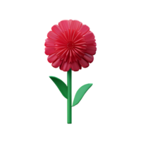 carnation 3d rendering icon illustration png