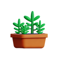 potted plants 3d rendering icon illustration png