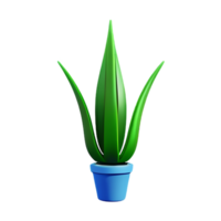 aloe vera 3d rendering icon illustration png