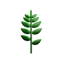 fern 3d rendering icon illustration png