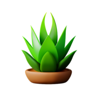 aloe vera 3d rendering icon illustration png