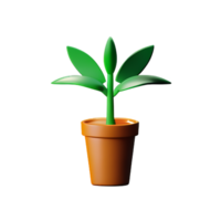 mis en pot les plantes 3d le rendu icône illustration png