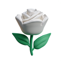 white rose 3d rendering icon illustration png