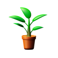 mis en pot les plantes 3d le rendu icône illustration png