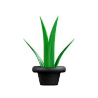 aloe vera 3d rendering icon illustration png