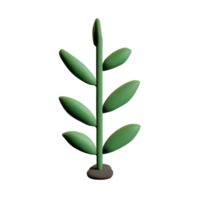 fern 3d rendering icon illustration png