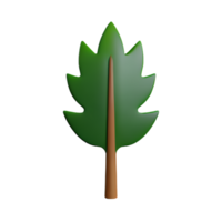 fern 3d rendering icon illustration png