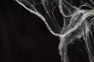 Black background for halloween. Spider web in dark room. Holiday decor photo