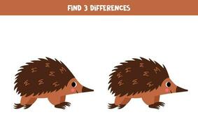 Find 3 differences between two cute cartoon brown echidna. vector