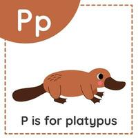 Learning English alphabet for kids. Letter P. Cute cartoon platypus. vector