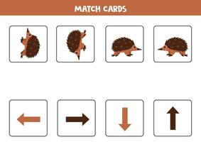 Left, right, up or down. Spatial orientation with cute brown echidna. vector