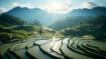 maravilloso amplio ángulo ver de aterrazado arroz campos, un natural preguntarse foto