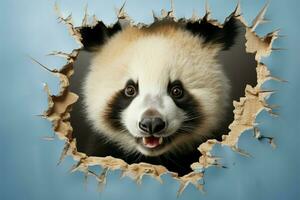 Playful panda peeks through torn wall, framing empty copy space AI Generated photo