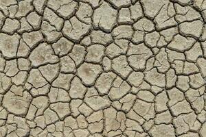 Brown dry soil or cracked ground texture background. photo